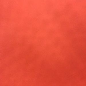 Meet your Posher, Tileia